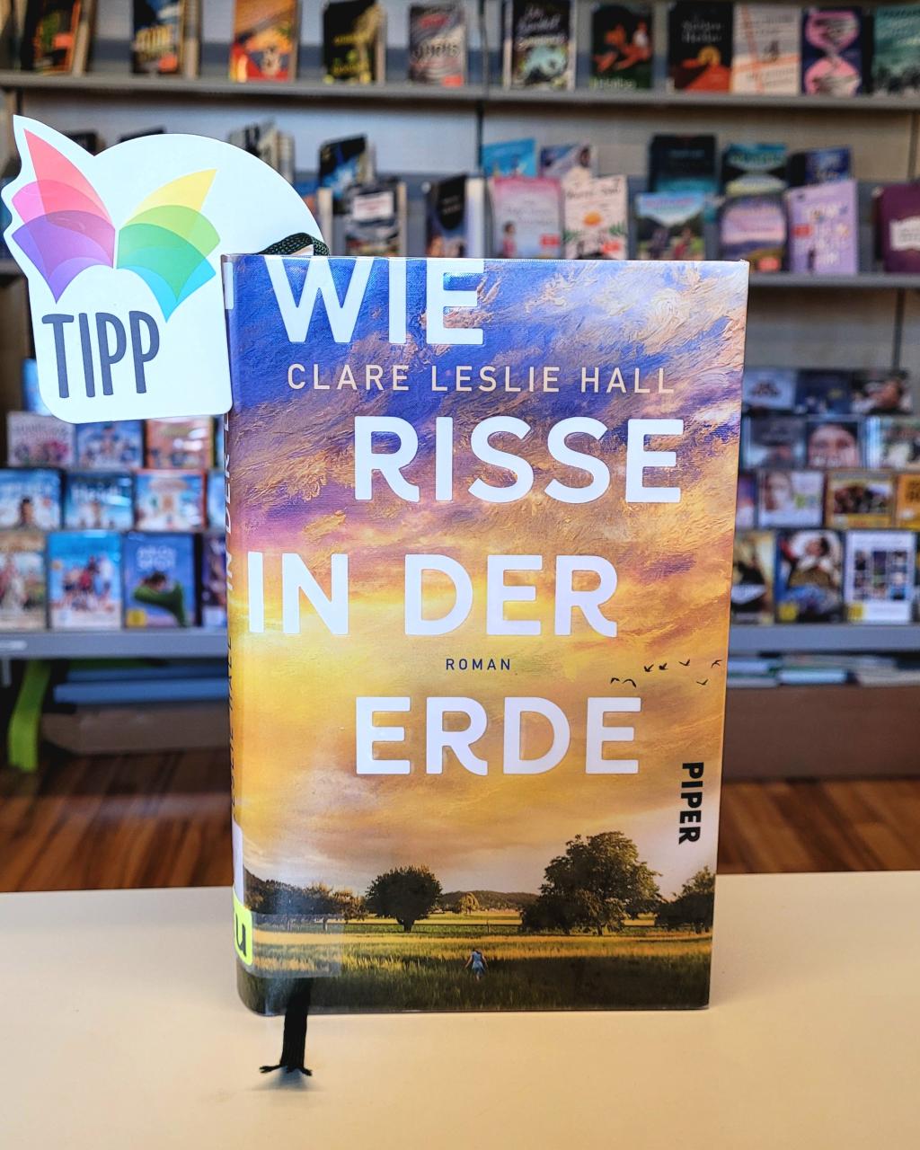 Bild vom Buch in der Bücherei